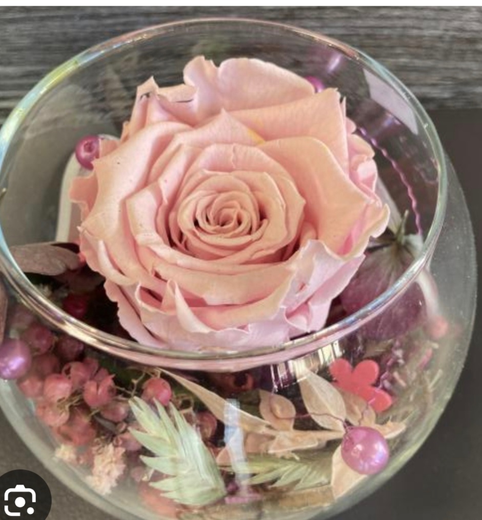 Rose stablisée