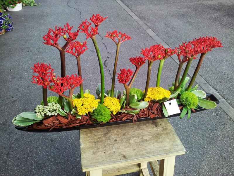 Aux fleurs de Montchoisi